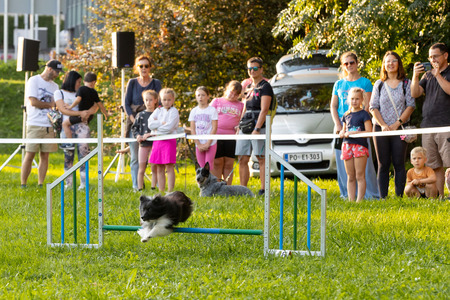 Pasji športni dan_6. 8. 2025 (21)